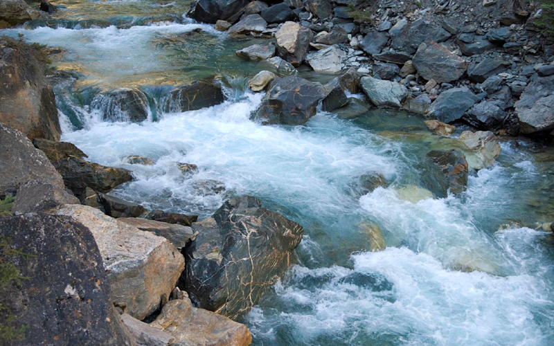 Image of white rapids on river.