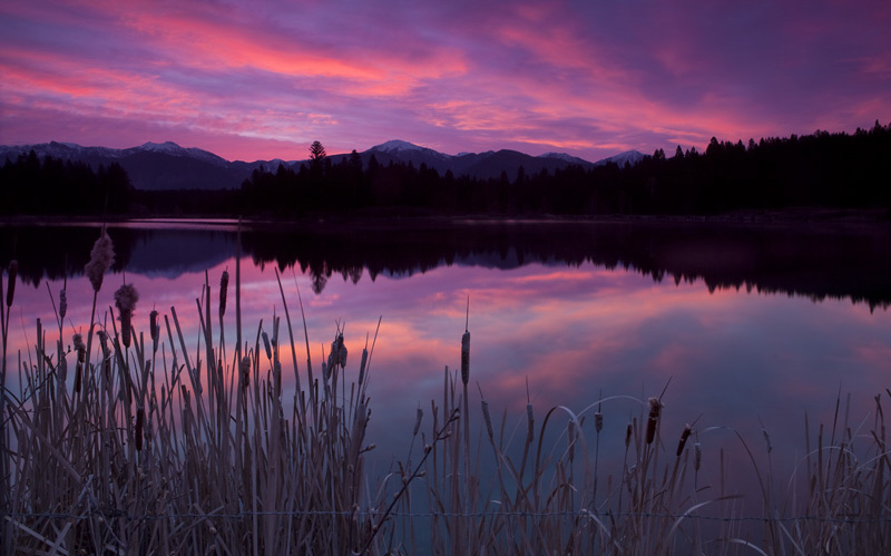 Image of beautiful sunset over small lake with bull rushes/cat tails Infront.